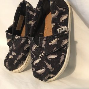Toms for Toddler Boy with Shark Print